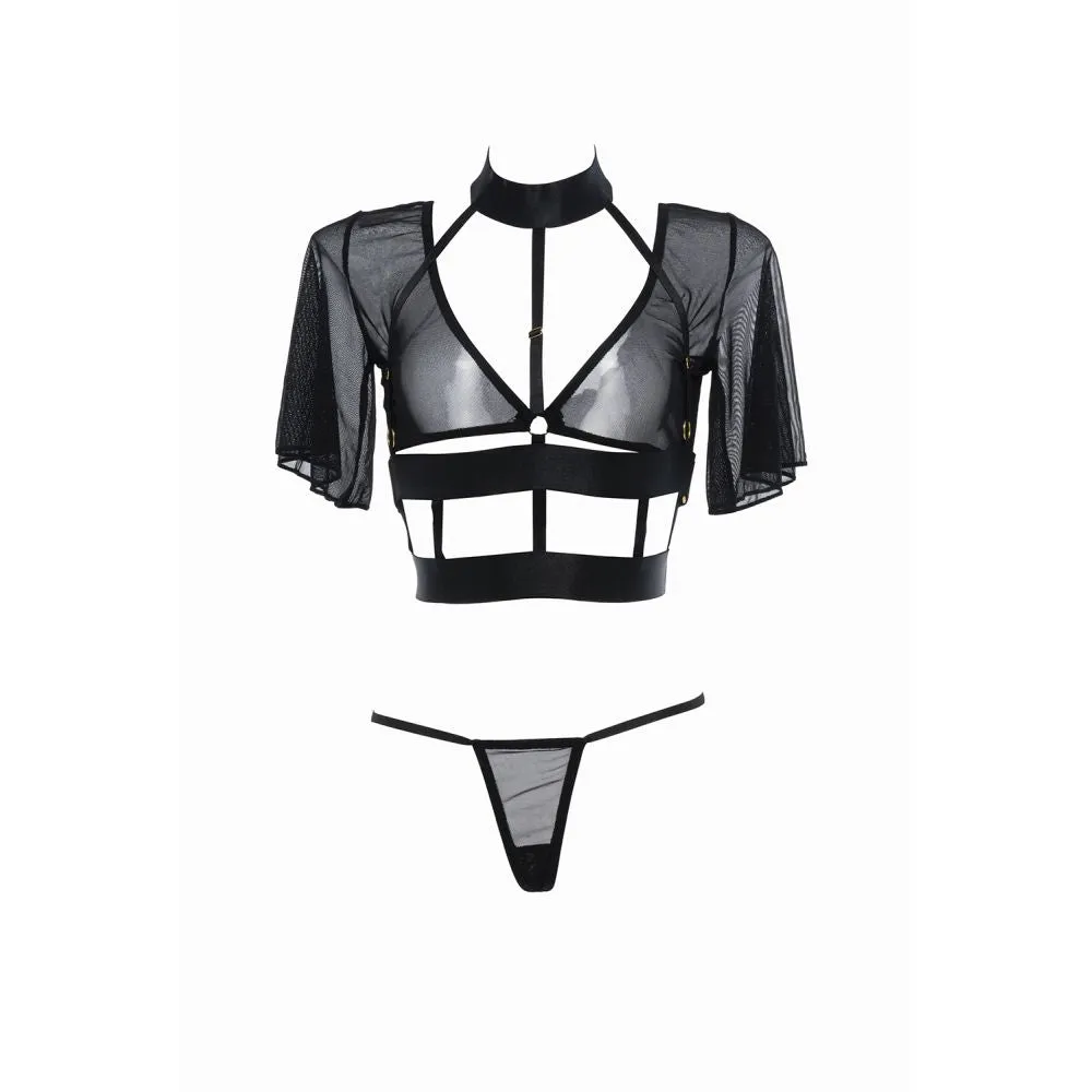 Adore - Dreamer Set