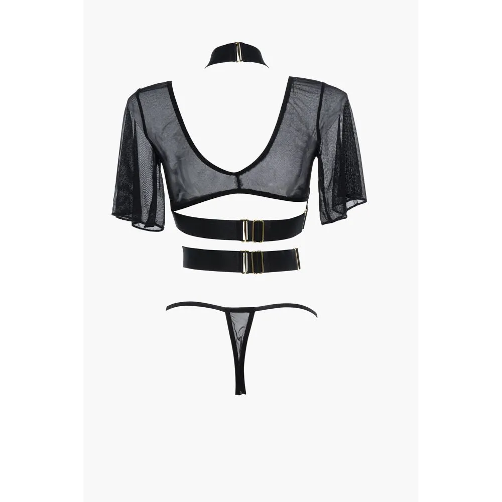 Adore - Dreamer Set