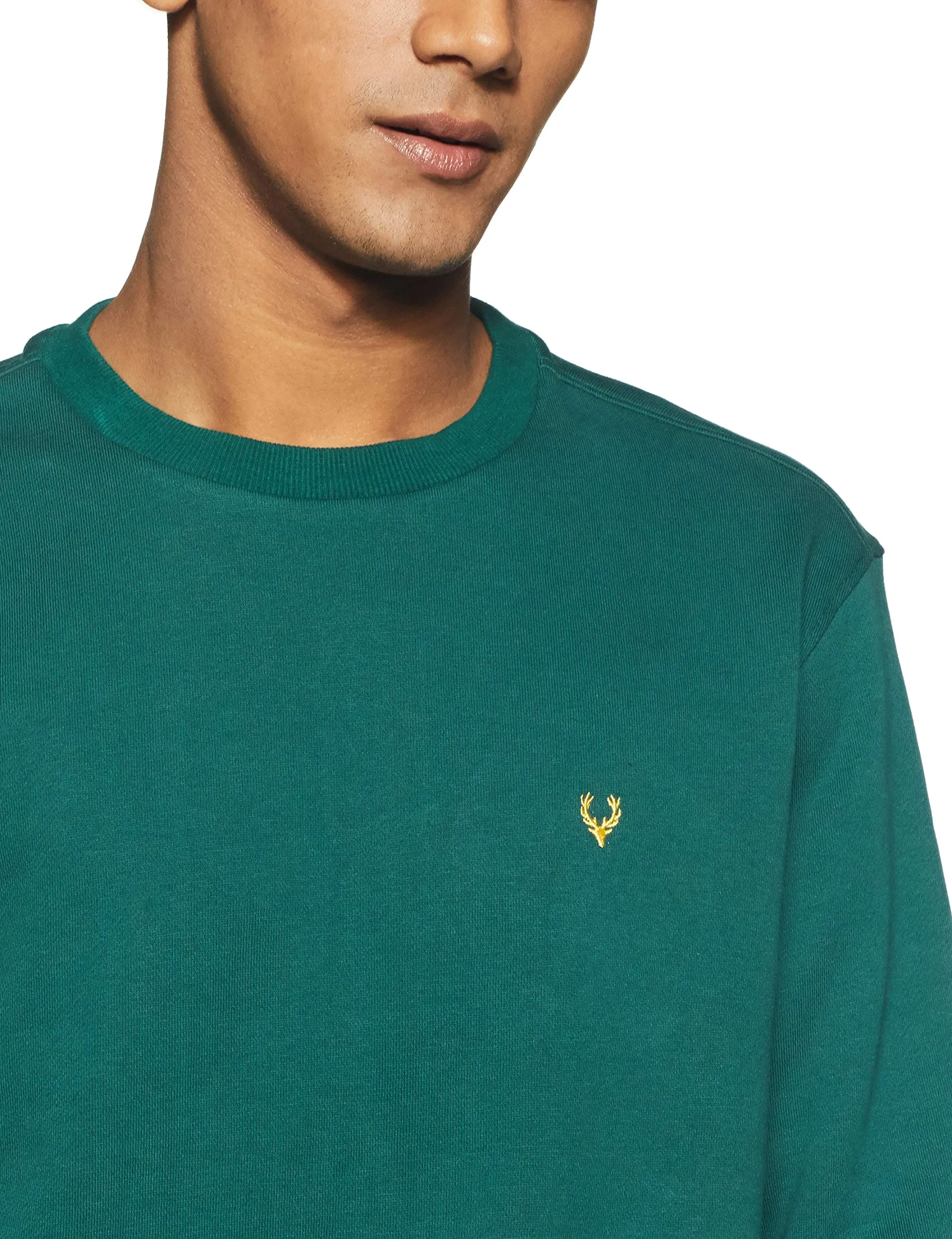 Allen Solly Men's Sweatshirt (ASSTORGPG90892S_Pine Green 19-5414TCX)