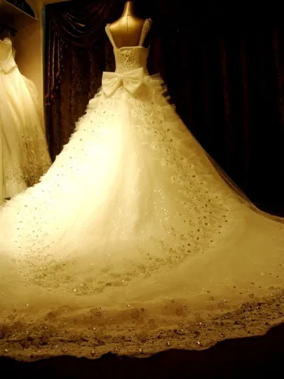 Bowknot Cathedral Train Wedding Dress