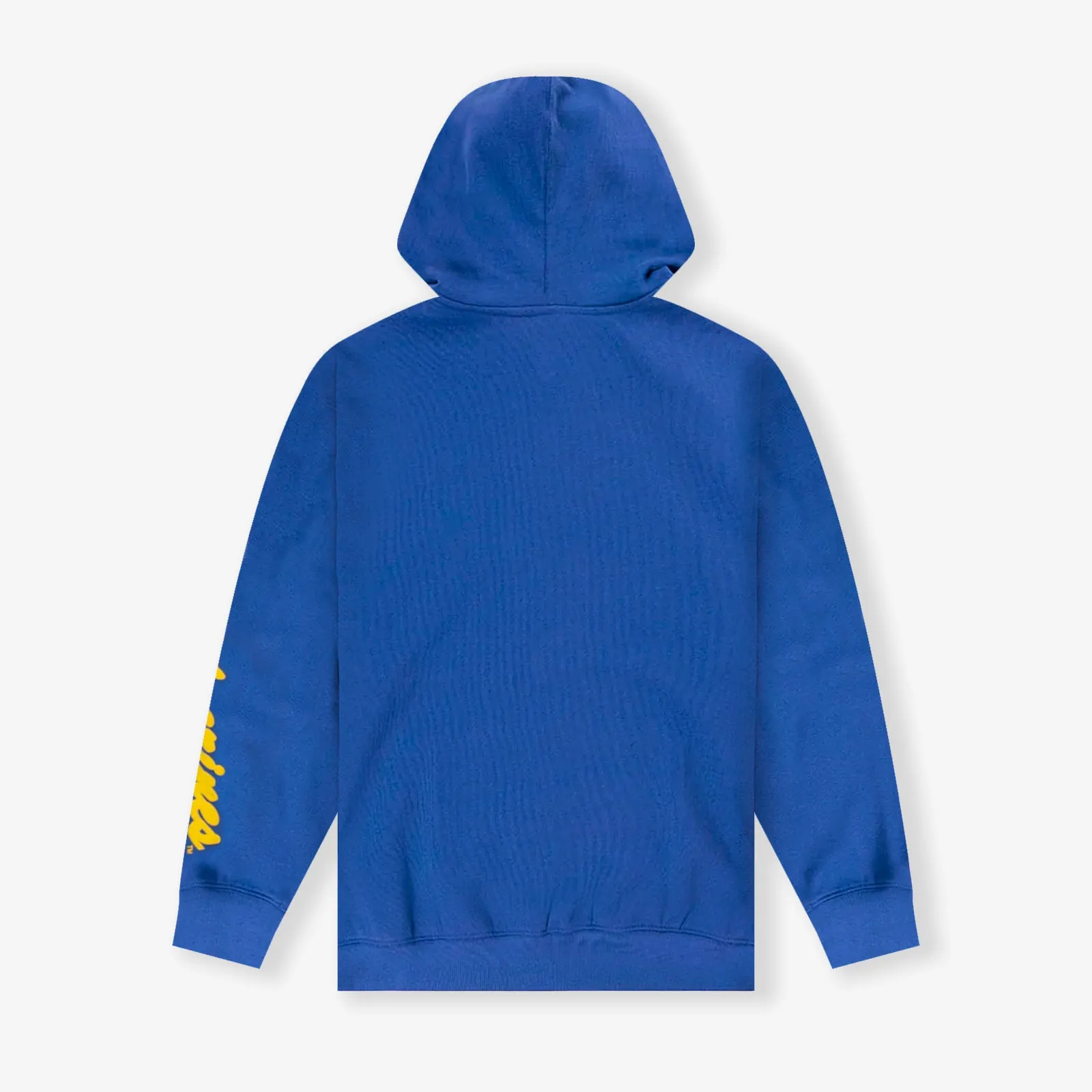 Michigan Wolverines NCAA Puff Print Hoodie - Blue