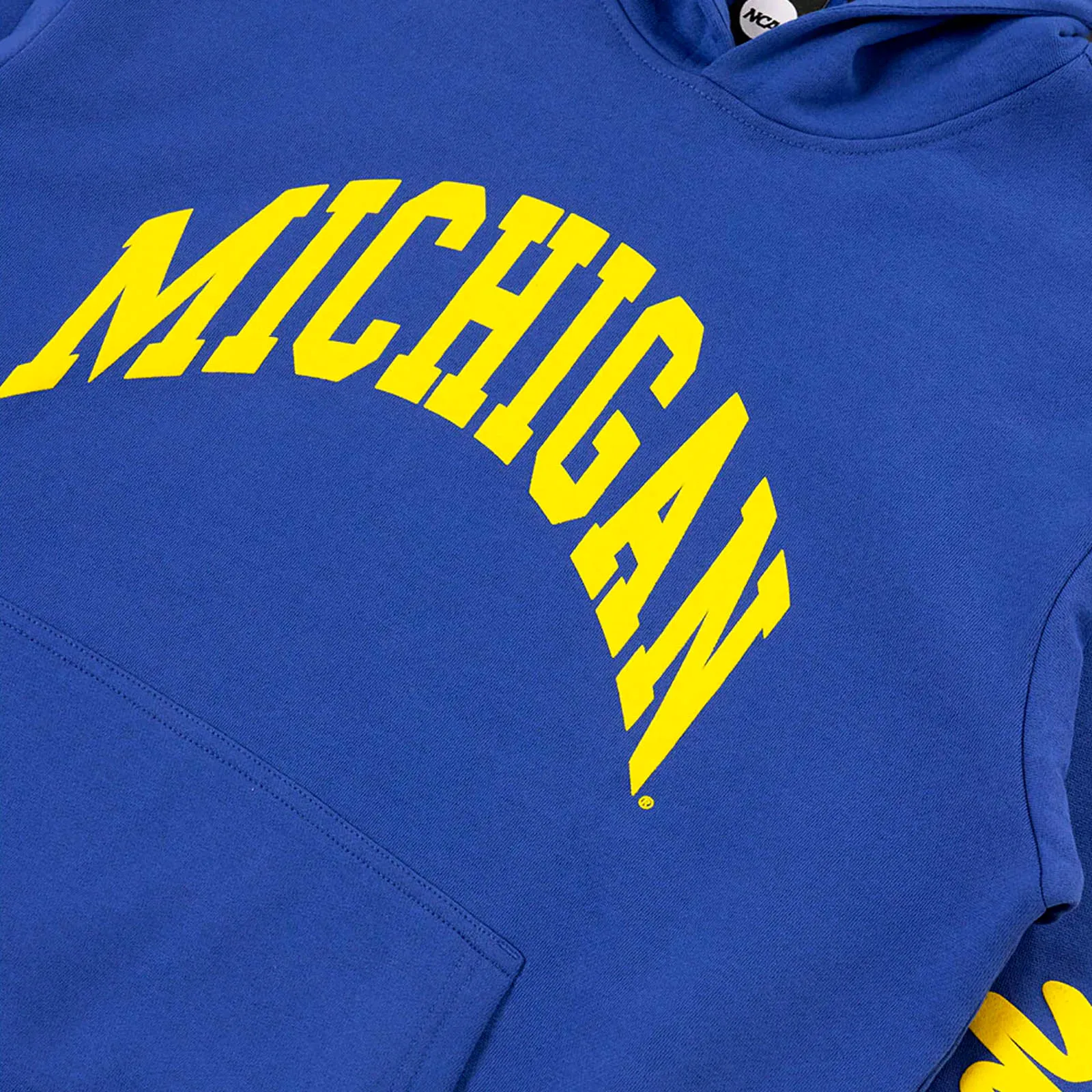Michigan Wolverines NCAA Puff Print Hoodie - Blue
