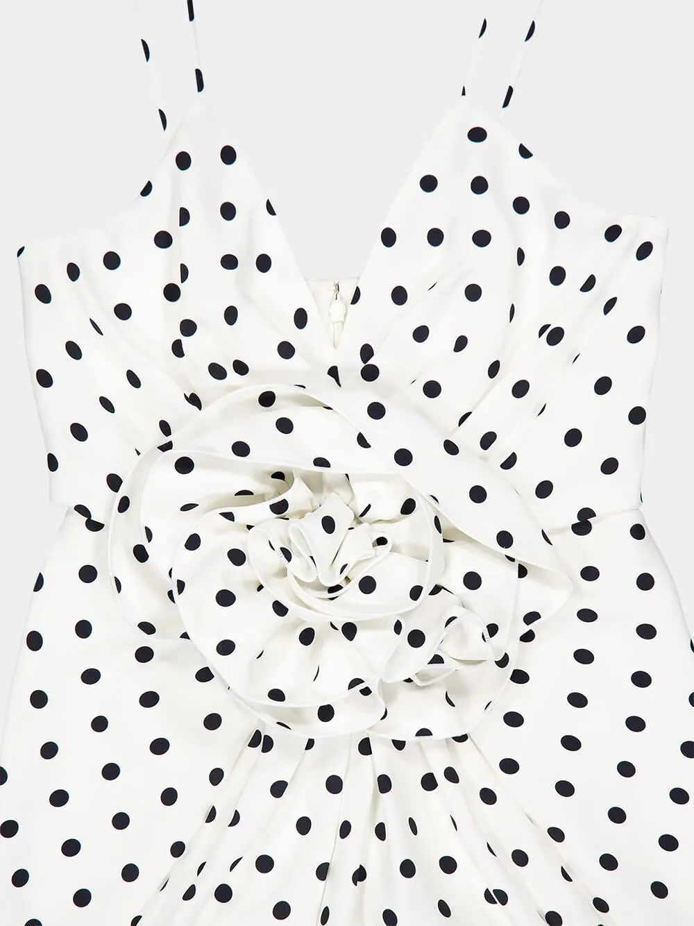 Polka Dots Printed Maxi Dress