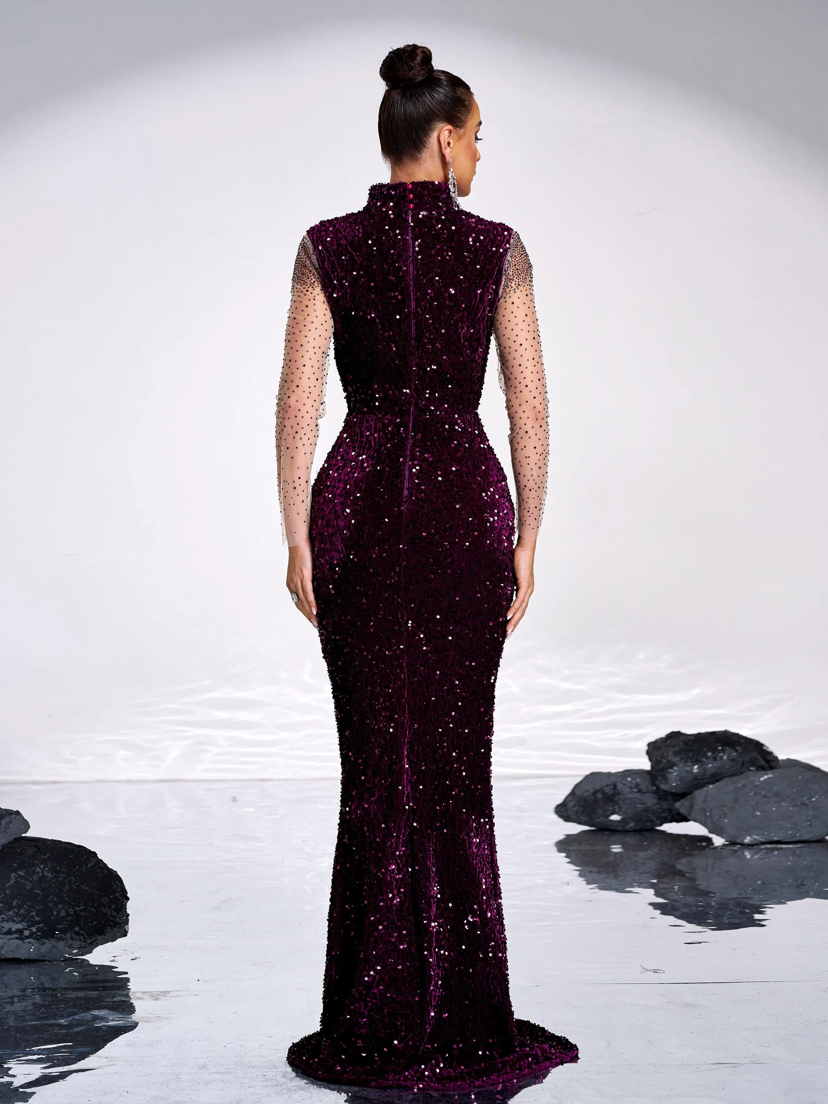 Sequin Panel Mesh Sleeve Mermaid Formal Dress GM00635